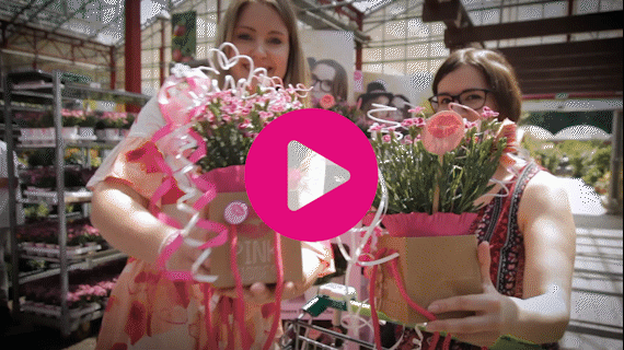 Frau von hinten, hält Pink Kisses mit Geschenkpapier umwickelt und Schleife in der Hand