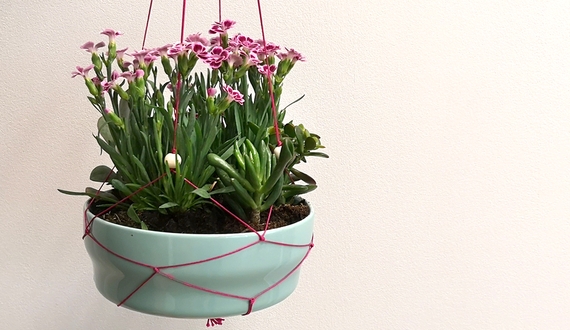 DIY-Makramee-Blumenampel mit Pink Kisses Mininelken