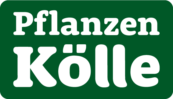 Logo Pflanzen Kölle