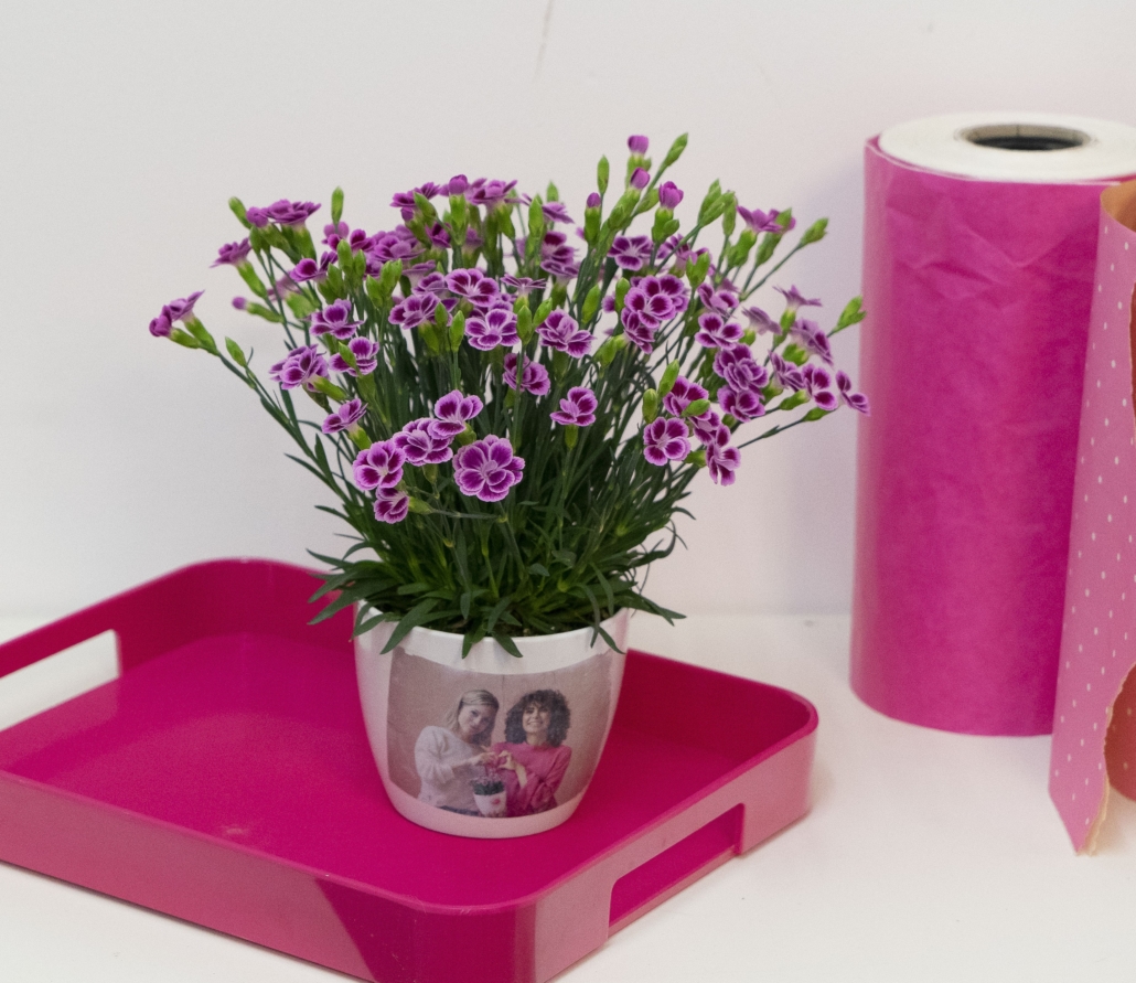 Fertiger Potch-Blumentopf mit Pink Kisses